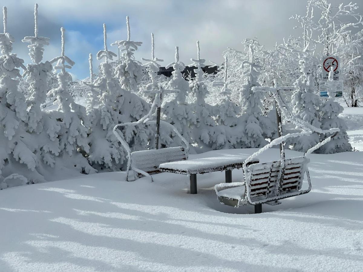 FeWo Gipfelglück Willingen  Exterior foto