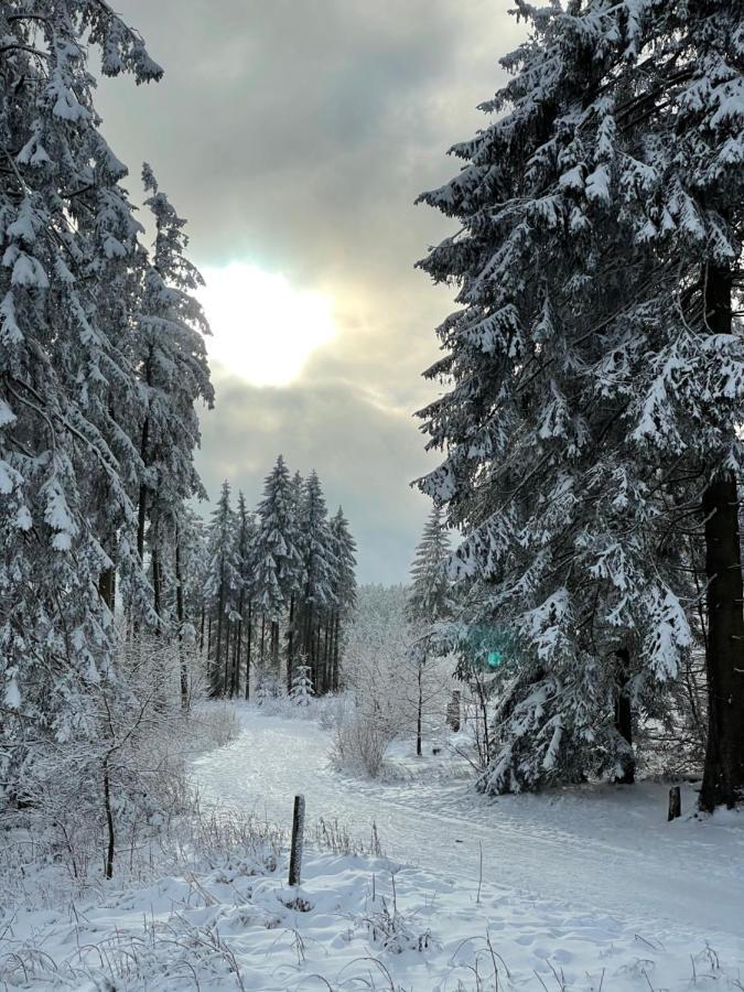 FeWo Gipfelglück Willingen  Exterior foto